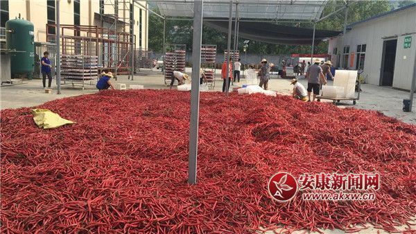 ttĮa(chn)I(y).jpg