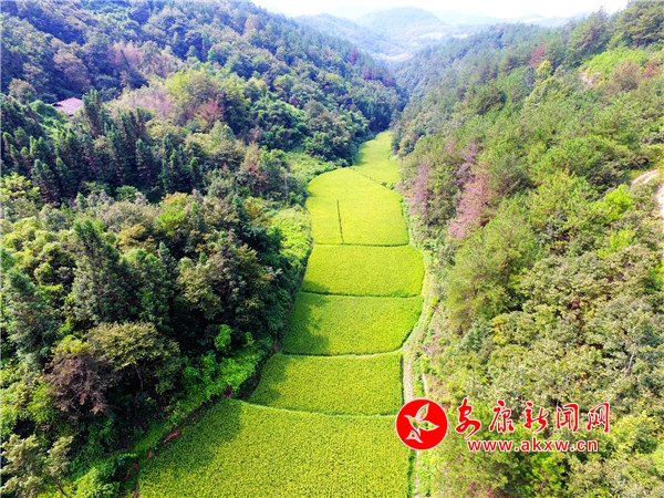 2.(j)˽@ĵȌˮǵȵһNֻܵ?xing)lƺӰڹȵˮȫȡɽ֏ˮ|(zh)