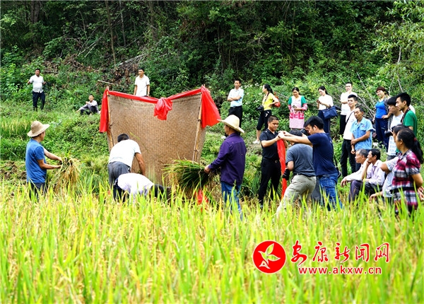 1.95գλڰƽh(zhn)Ů?hu)zɽϵ320ԭB(ti)r(nng)ʽ_(ki)ո(sh)ʮRg^ѝֳ