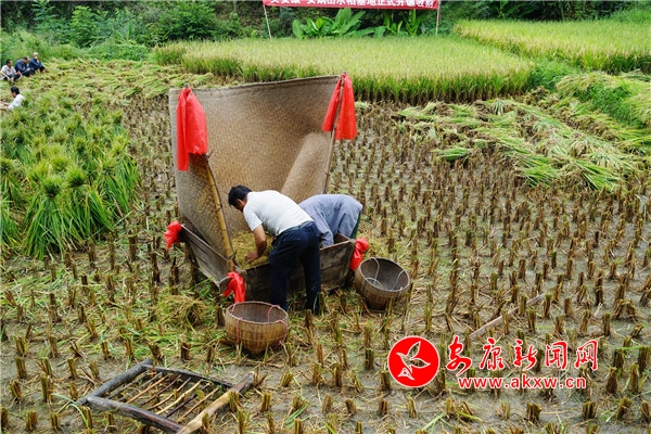 3._(ki)ǰ񂃰Ղy(tng)ĵطr(nng)I(y)^“Ͱ”砵ϴСtʾcףSպ͌(du)ڄ(dng)ߵͬr(sh)