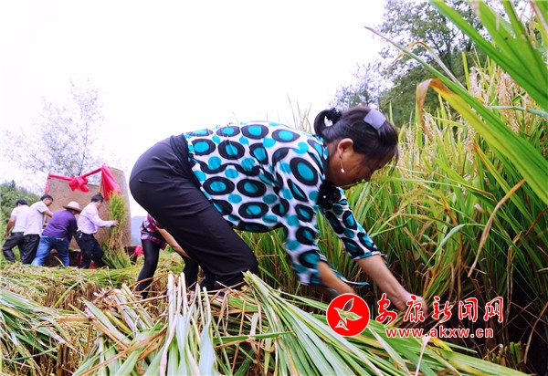 6.ڬF(xin)(chng)ֻҊ(jin)10λֳץ䣬һRĔ[“”Ҋ(jin)p