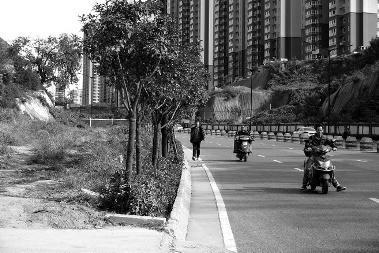 西安東長安街雙向六車道城市路 為啥沒人行道