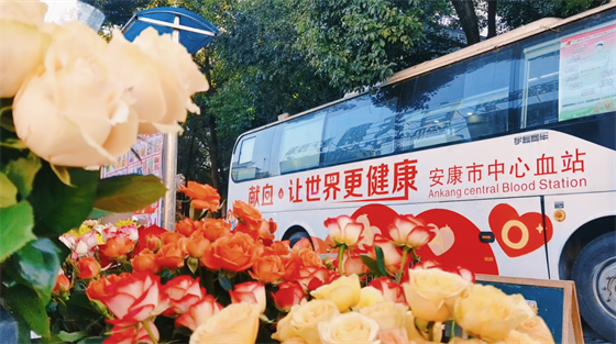 安康這三兄妹，熱血！