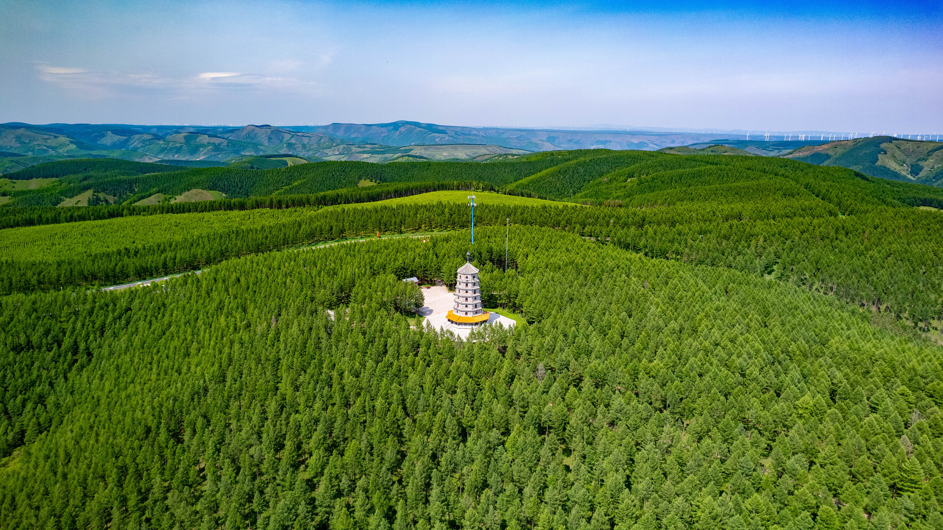 2025年6月11日，河北承德，塞罕壩林海浩渺。