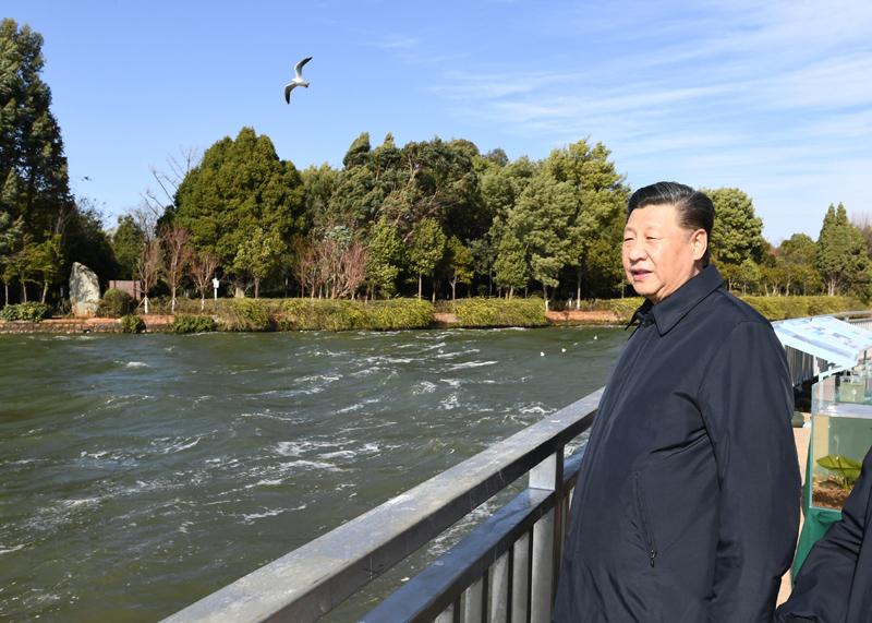 2020年1月20日下午，習(xí)近平總書記在云南昆明滇池星海半島生態(tài)濕地考察調(diào)研。